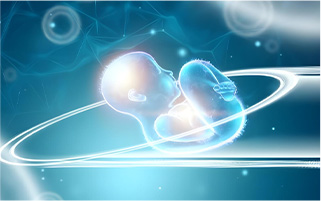 卵泡发育不良无法排卵还能进行试管助孕吗