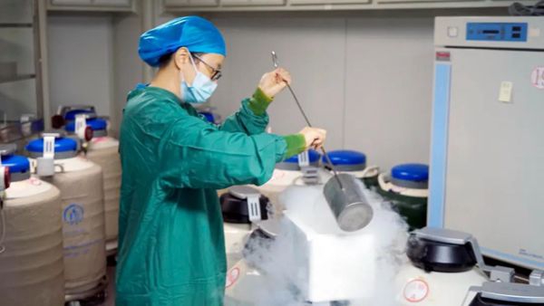 生命的守护者：胚胎学家与您共赴希望的星辰