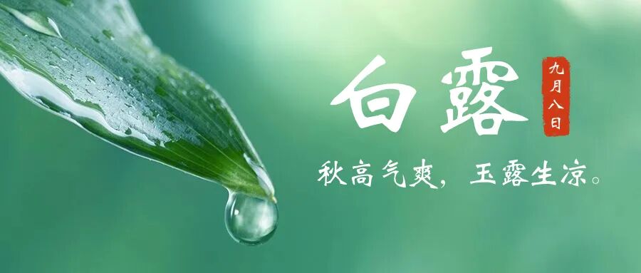 白露至，凉意浓：宜养肺防秋燥