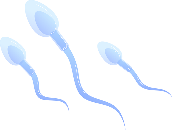 男性遗精生育困难能不能成功试管婴儿治疗