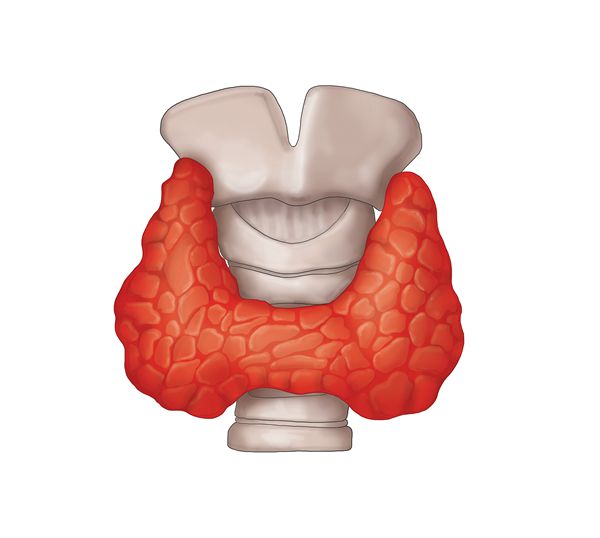 紧急通知！8周前的孕妈请速查！为了宝宝聪明健康，这件事千万别再拖了！