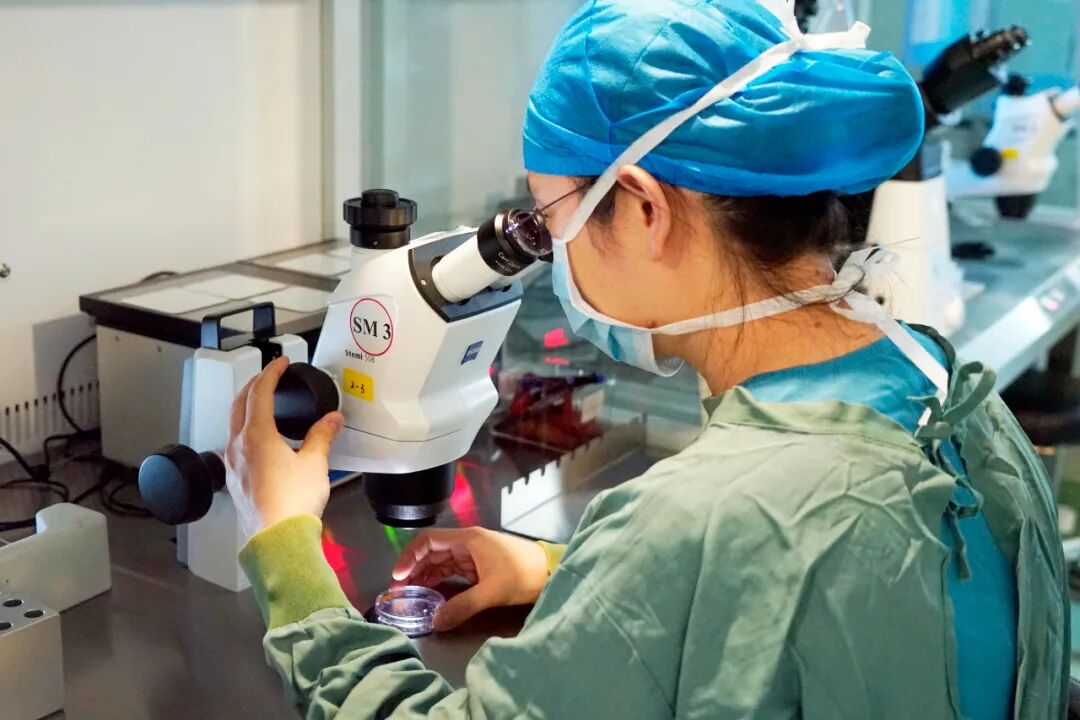 获得好胚胎，胚胎学家们想告诉你一个小秘密