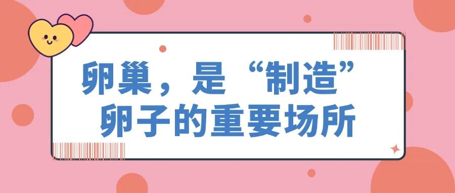 常见的卵巢疾病有哪些类型,如何呵护卵巢健康