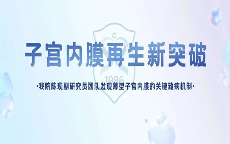 子宫内膜再生新突破！我院陈现副研究员团队发现薄型子宫内膜的关键致病机制