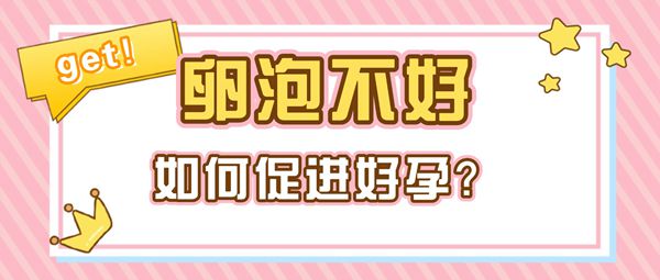 卵泡发育不良备孕困难能不能试管婴儿助孕