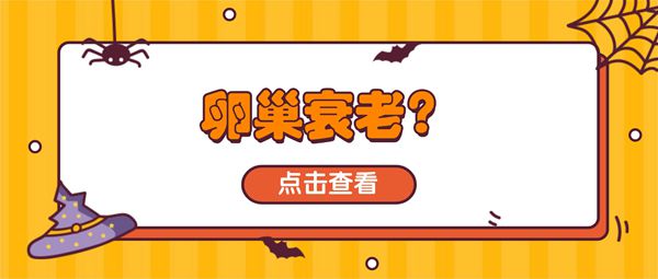 早发性卵巢功能不全能不能试管婴儿助孕