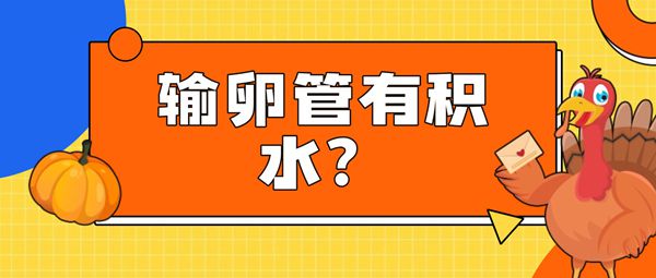 输卵管积水会不会影响试管婴儿助孕