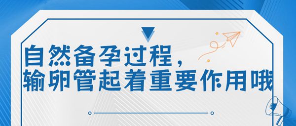 输卵管结扎了会不会影响试管婴儿助孕