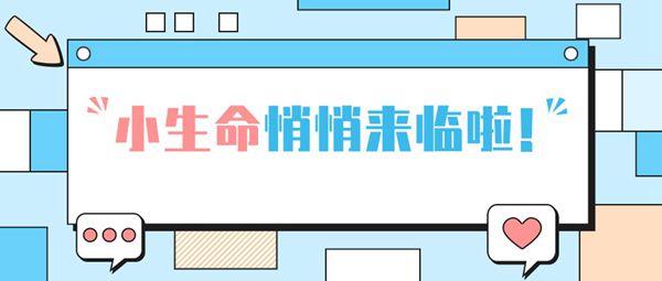 女性不孕输卵管有积水能不能试管婴儿移植