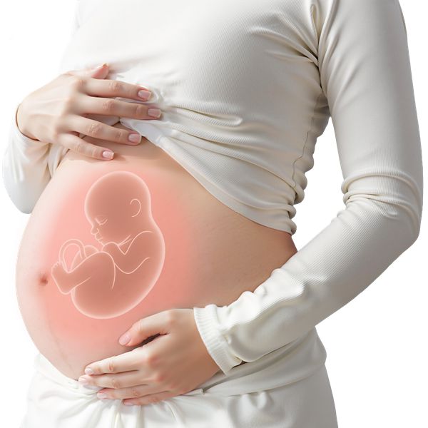 试管婴儿之前有什么注意的,有必要寻求心理支持吗