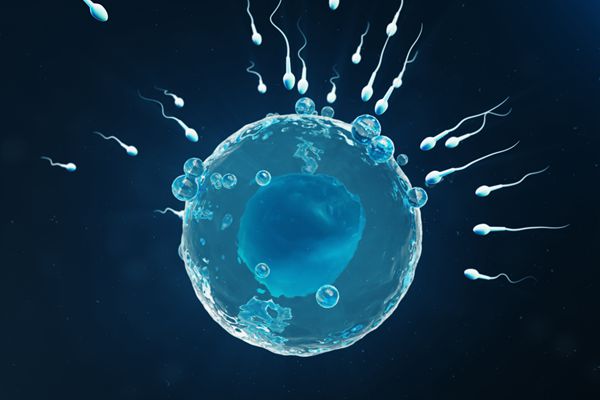 男性不育是什么,试管婴儿准爸爸有什么需要改善的