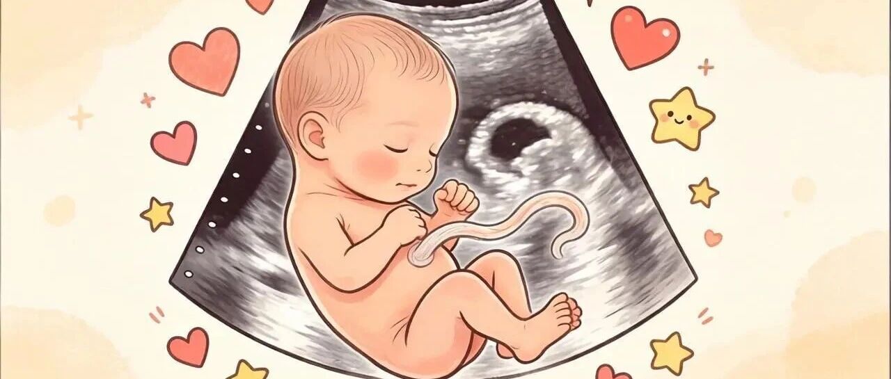 一枚胚胎宝宝的自白：妈咪，移植后要适当动一动哦！