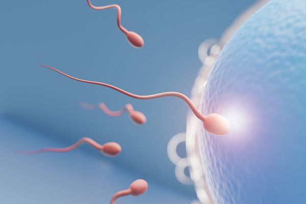 男性不育得了弱精症能不能试管婴儿