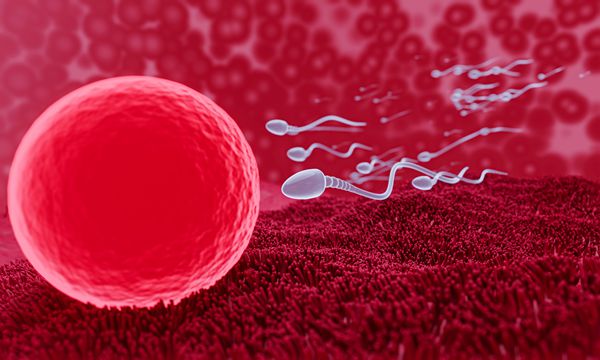 慢性前列腺炎如何诊断可以试管婴儿吗