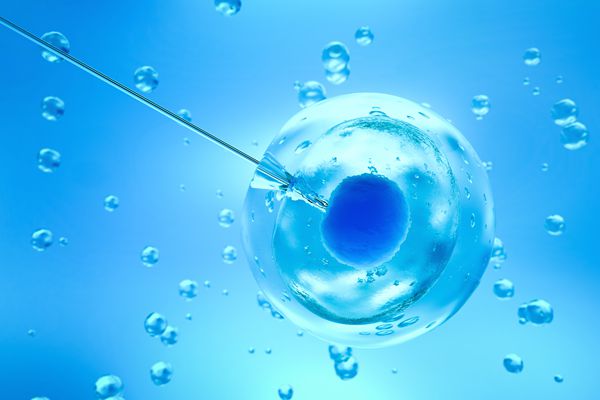 男性难育精子差试管婴儿怎么提升精子质量