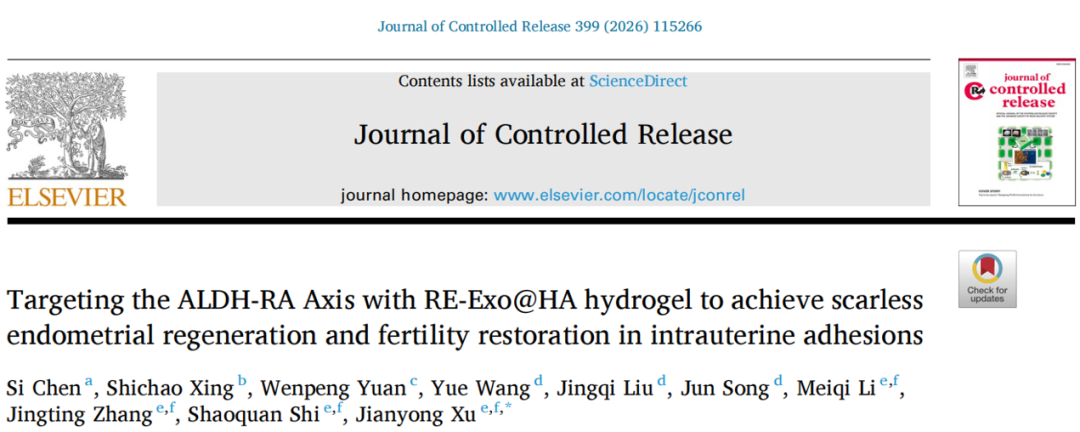 《Journal of Controlled Release》发表：靶向ALDH-RA轴的RE-Exo@HA水凝胶，实现宫腔粘连无瘢痕子宫内膜再生与生育恢复