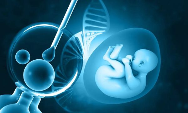 “6枚卵养出5个囊胚”，35岁卵巢功能减退妈妈的一次好孕记