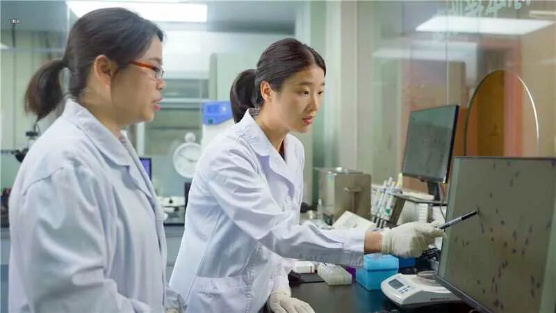 国内首创！新技术——“精液生精细胞数字化分析”，探清睾丸生精情况