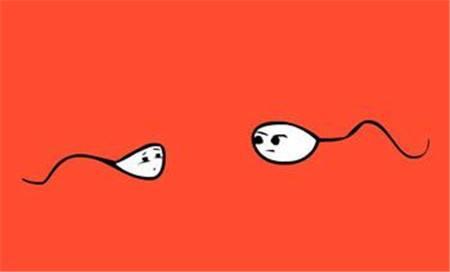 ҪԹӤˣԳ̺ȾƻӰ쾫ӵĻܶ