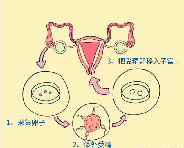 ȥɽԹӤˣѡԹӤ˹ھ
