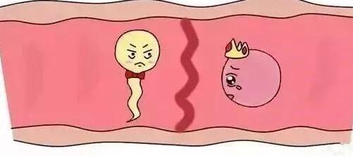 ѹָͨͬҲûԹӤЩҪǰע