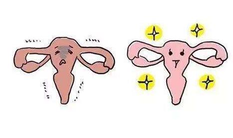 ѳ˥ԹӤ