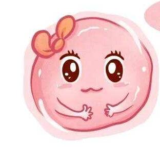 ޿ԹӤܻ