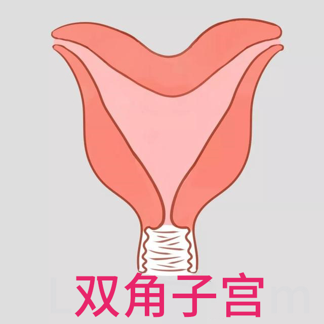 ˫ӹԹӤ˫̥
