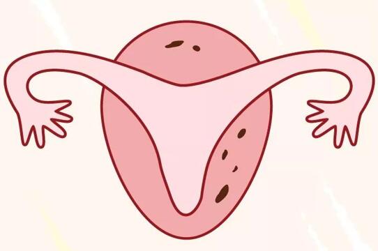ѹͨܲԹӤ
